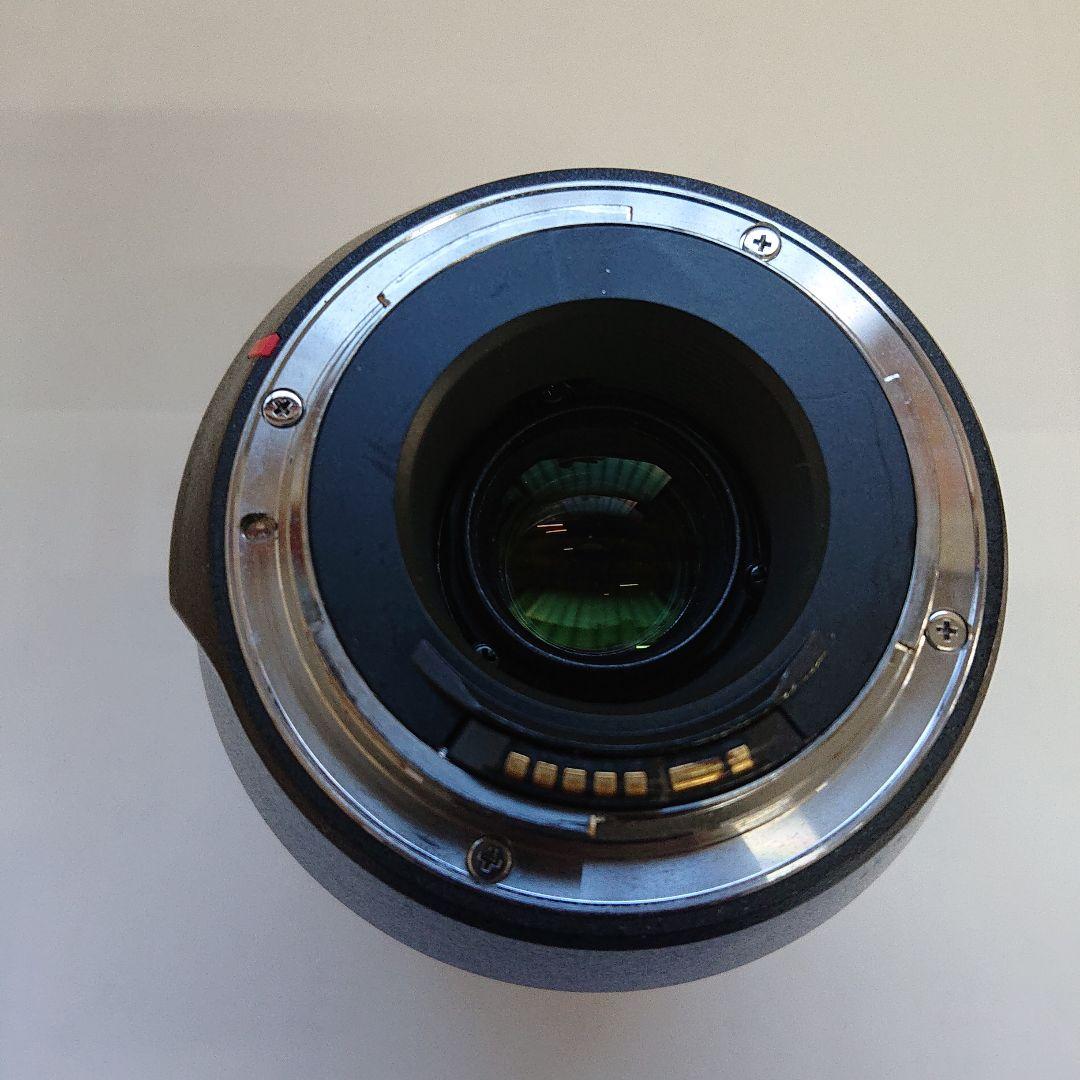 Canon EOS 40D + Tamron 70-300mm(ジャンク)