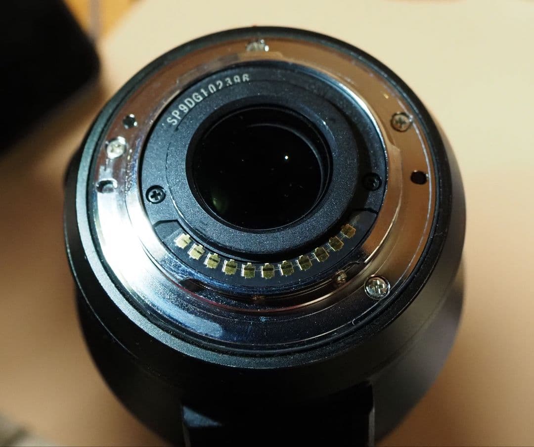 ジ*ク様 パナソニック LUMIX LEICA DG 100-400mm F4.