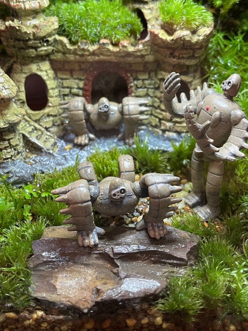 専用商品　苔テラリウム+ライト付　⑦