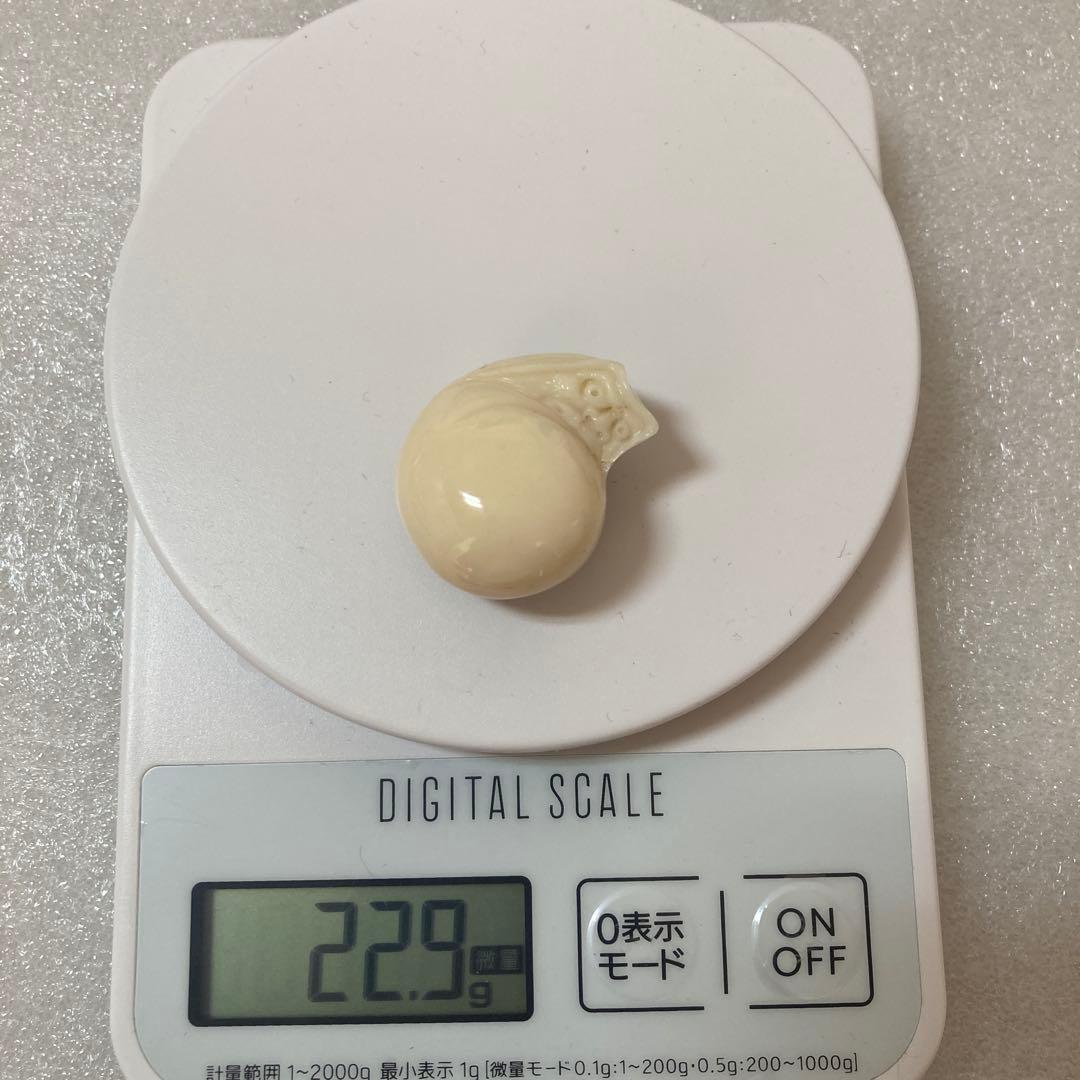 本珊瑚　達磨　彫刻　ループタイ