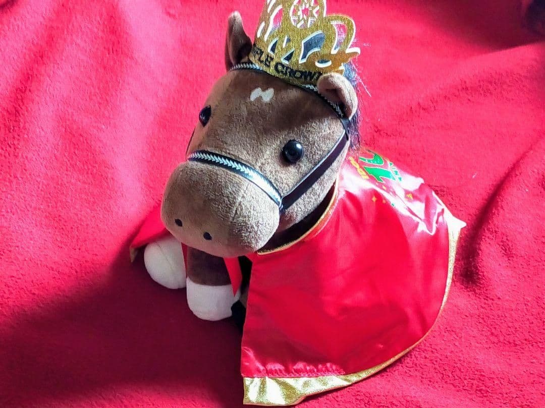 ②◆　競馬　JRA　◆　ディープインパクト　オルフェーヴル　◆アイドルホース２種