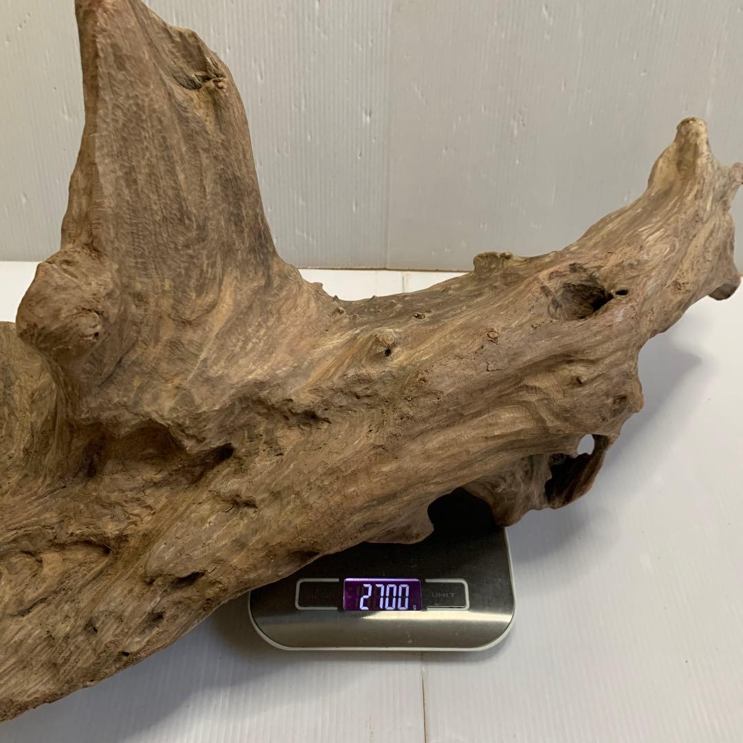 アク抜き済み流木　No.050 .039.031.239.393