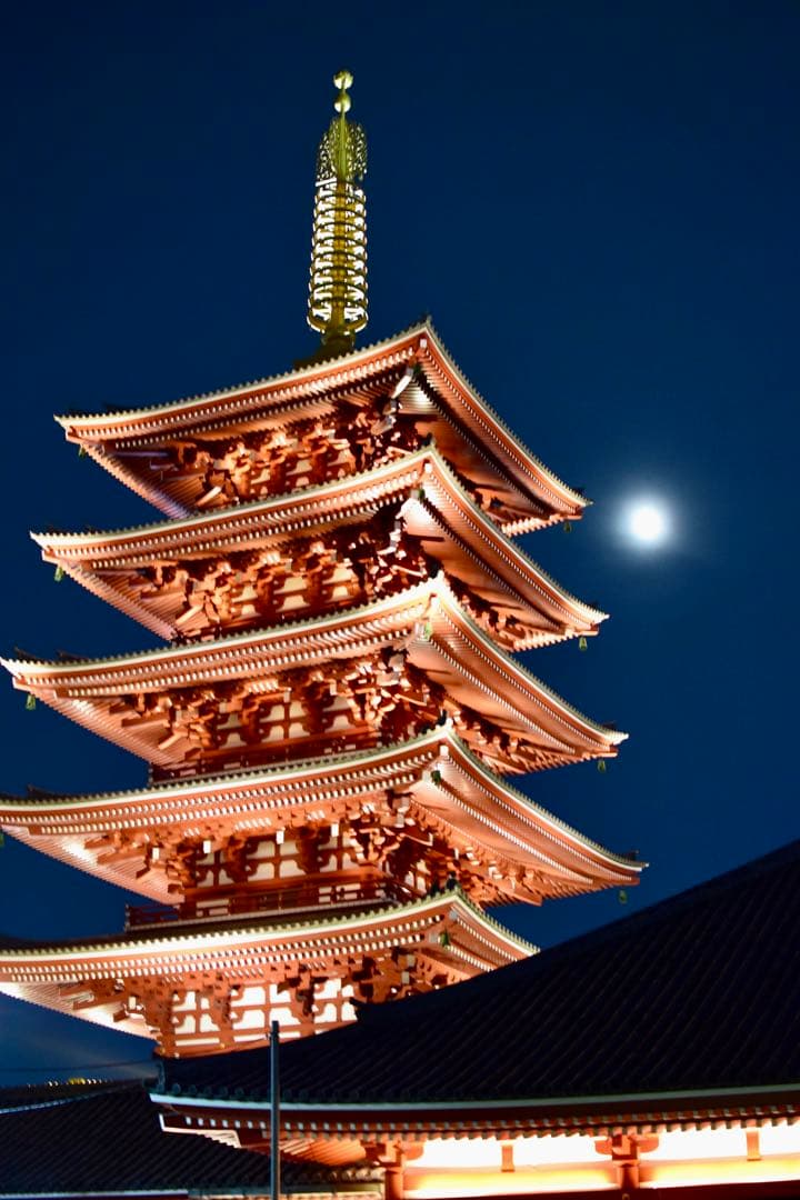 WiFi機能付☆Nikon D5300☆初めての一眼レフに最適♪