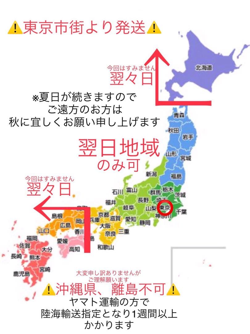 完売　　幸運のお守り＊縁起木【天然野生の森の柊さん/ひいらぎ】インドの鉢植え/大