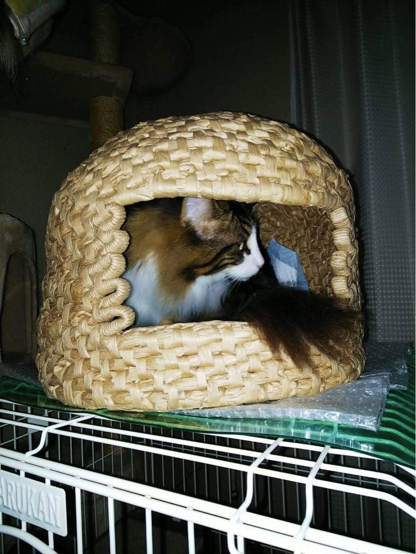 ハンドメイド 猫ちぐら 猫つぐら