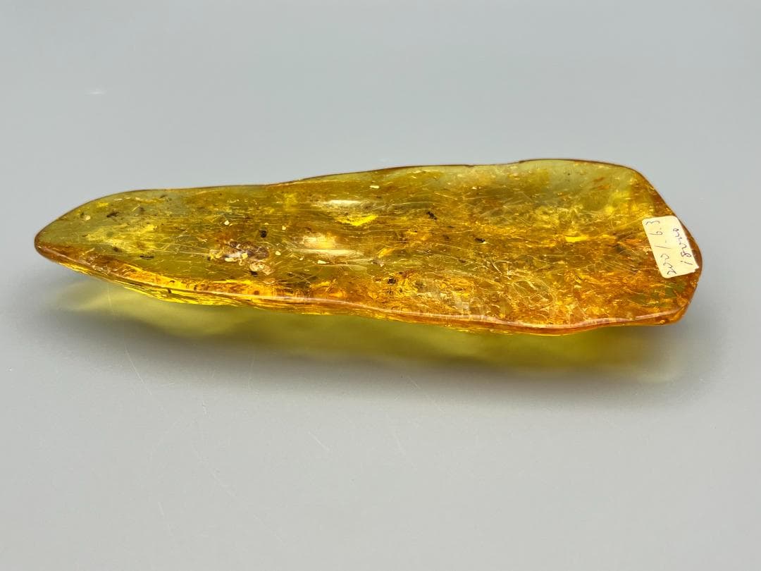 虫入り琥珀　多種多様な虫を内包した　バルティック　アンバー　バルト海沿岸地域産