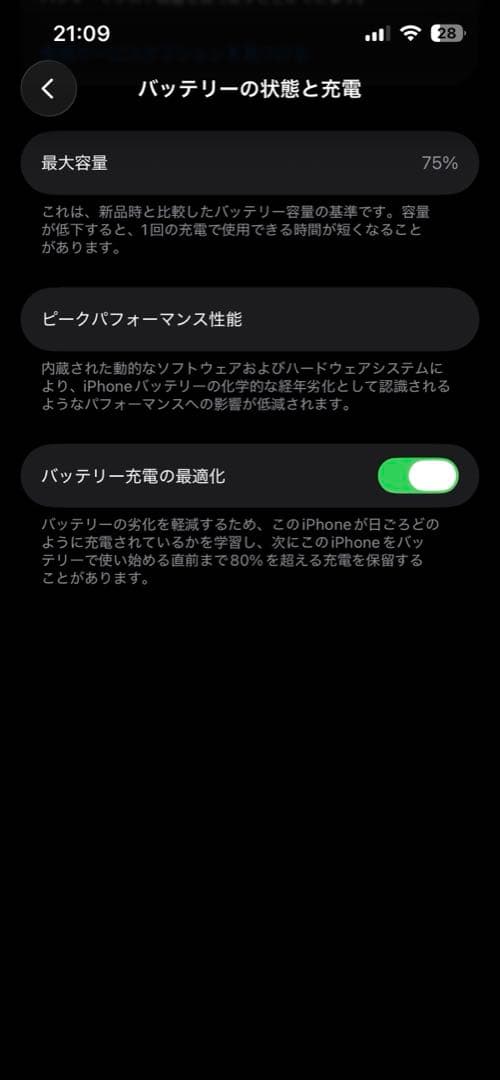 【最終価格】【超美品】iPhone 13 Pro グラファイト256GB