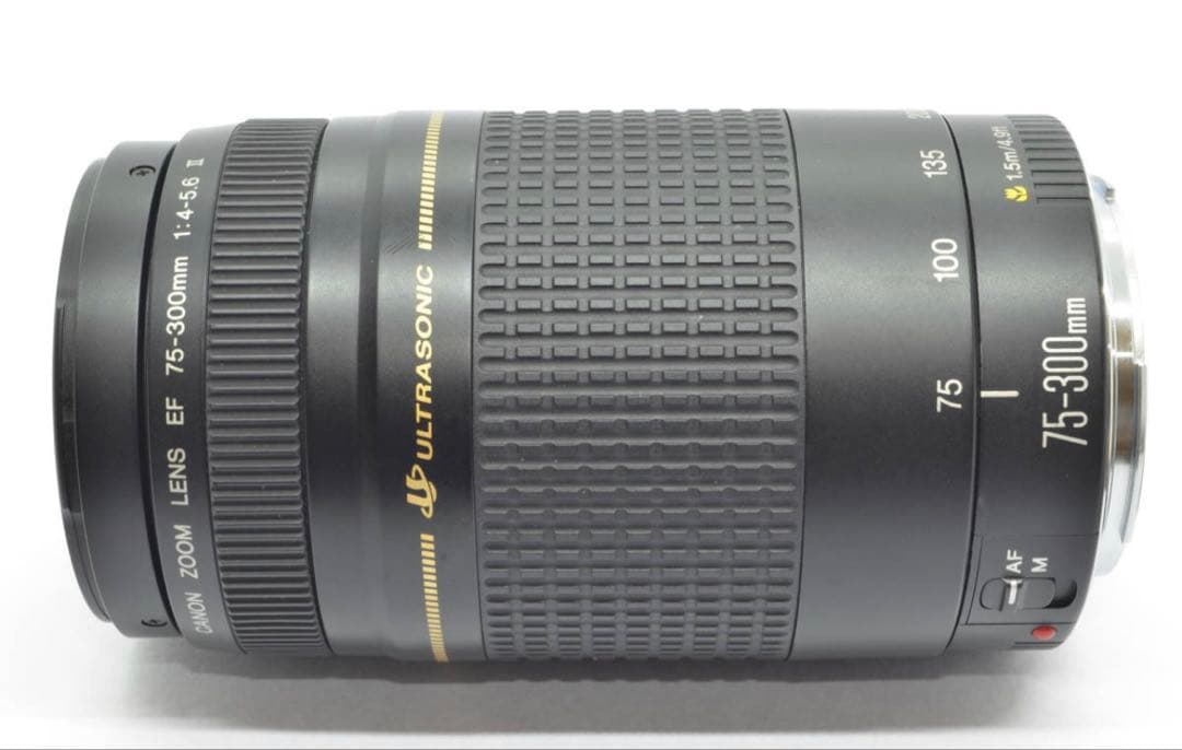 デジタル一眼レフカメラ☆人気の望遠レンズ☆Canon EF75-300㎜☆