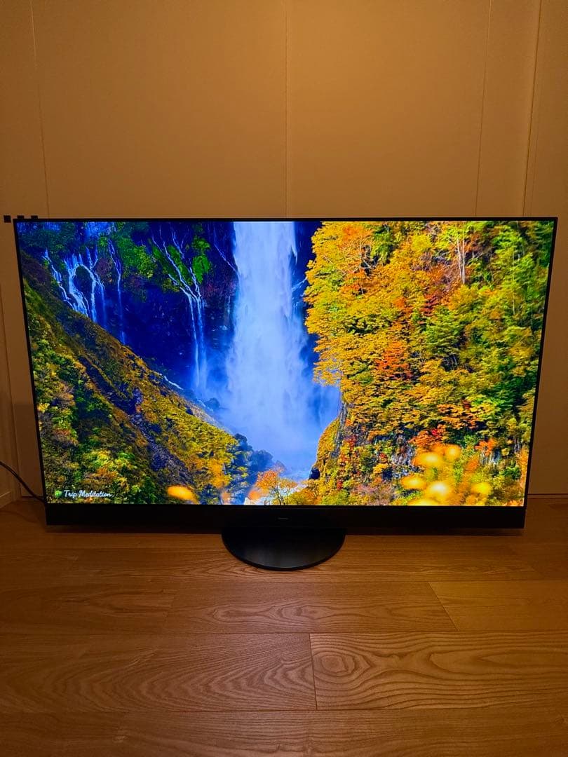 【送料無料】Panasonic 2022年製 55型 TH-55LZ2000