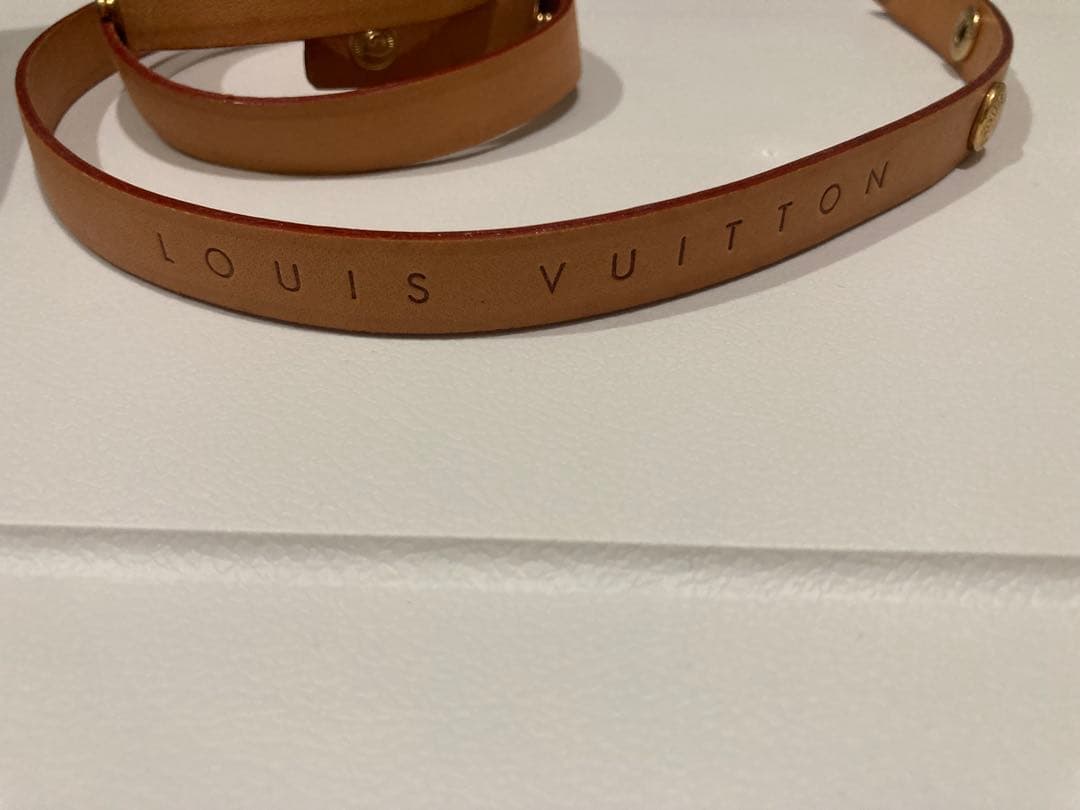 ルイ・ヴィトン LOUIS VUITTON フロランティーヌ モノグラム