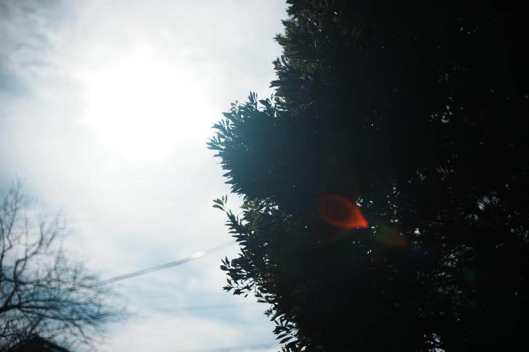 【整備＆テスト済】Nikon Ai Nikkor 50mm F1.4 221