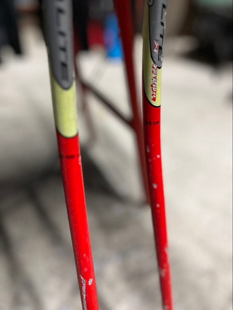 LEKI スキー GSストック 105cm(ストラップ付き)