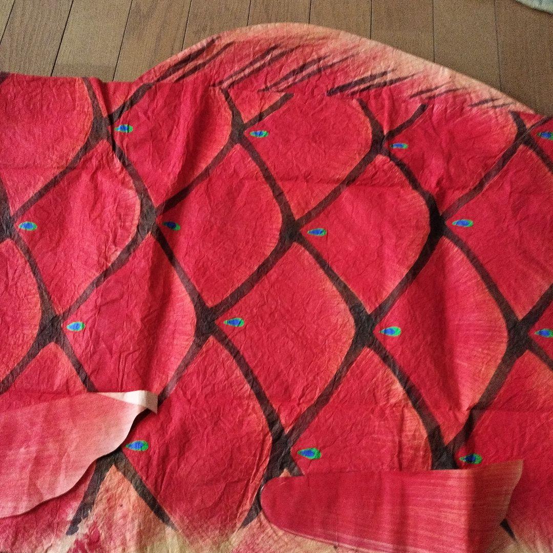 三國屋手描き鯉のぼり