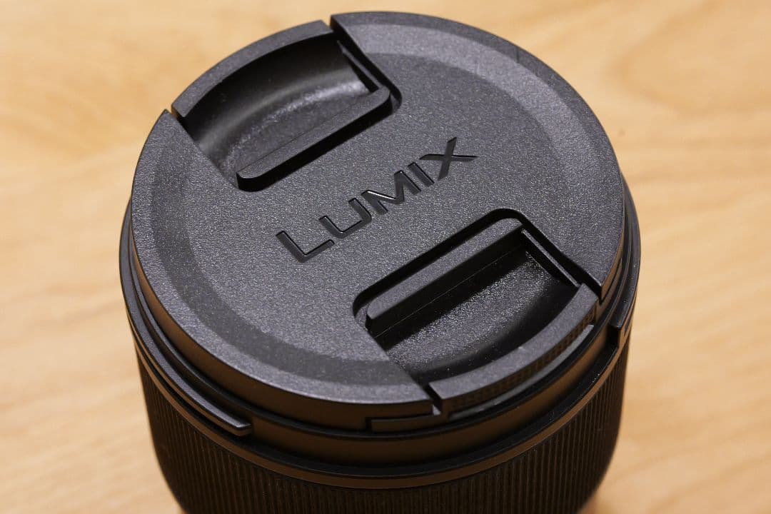 レンズ(単焦点) LUMIX S 100mm F2.8 MACRO S-E100