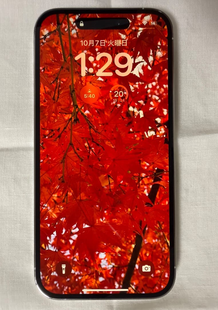 美品 完品 iPhone 14 Pro 256gb シルバー SIMフリー