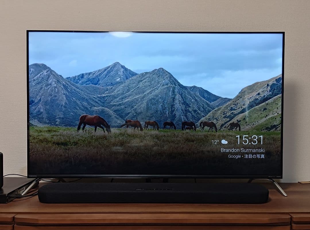 オリオン 50V型 4K対応液晶 チューナーレススマートテレビ SAUD501