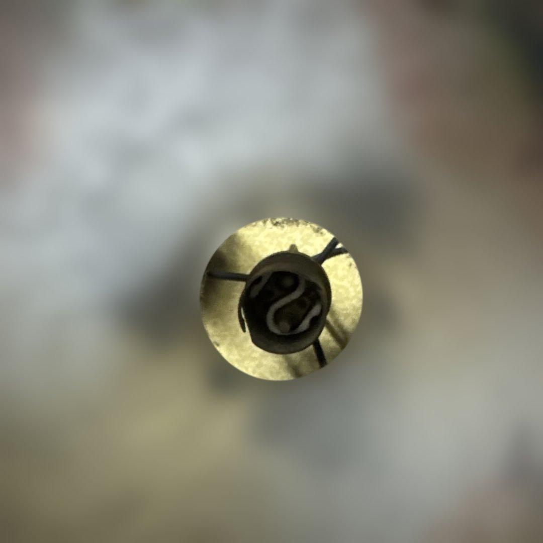 アンティークランプ フラワーモチーフ　ミューラー兄弟　吊り下げライト