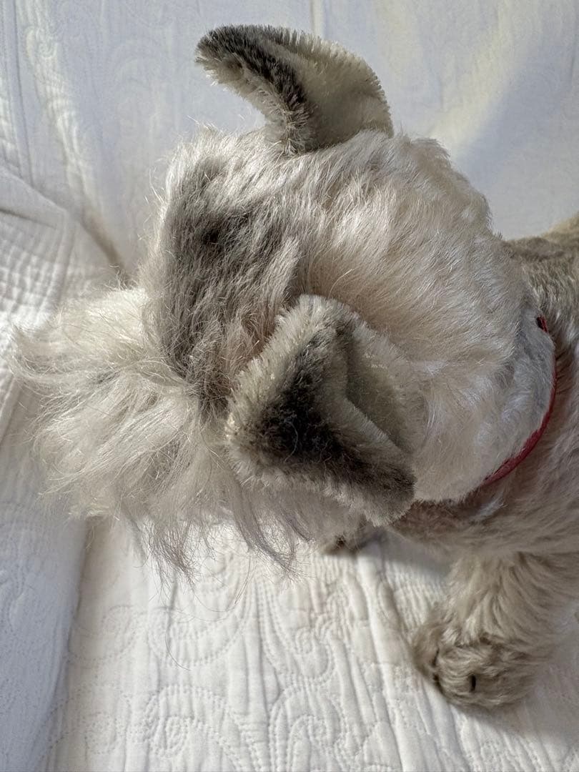 Steiff シュタイフ Tessie テッシー シュナウザー ビンテージ 犬