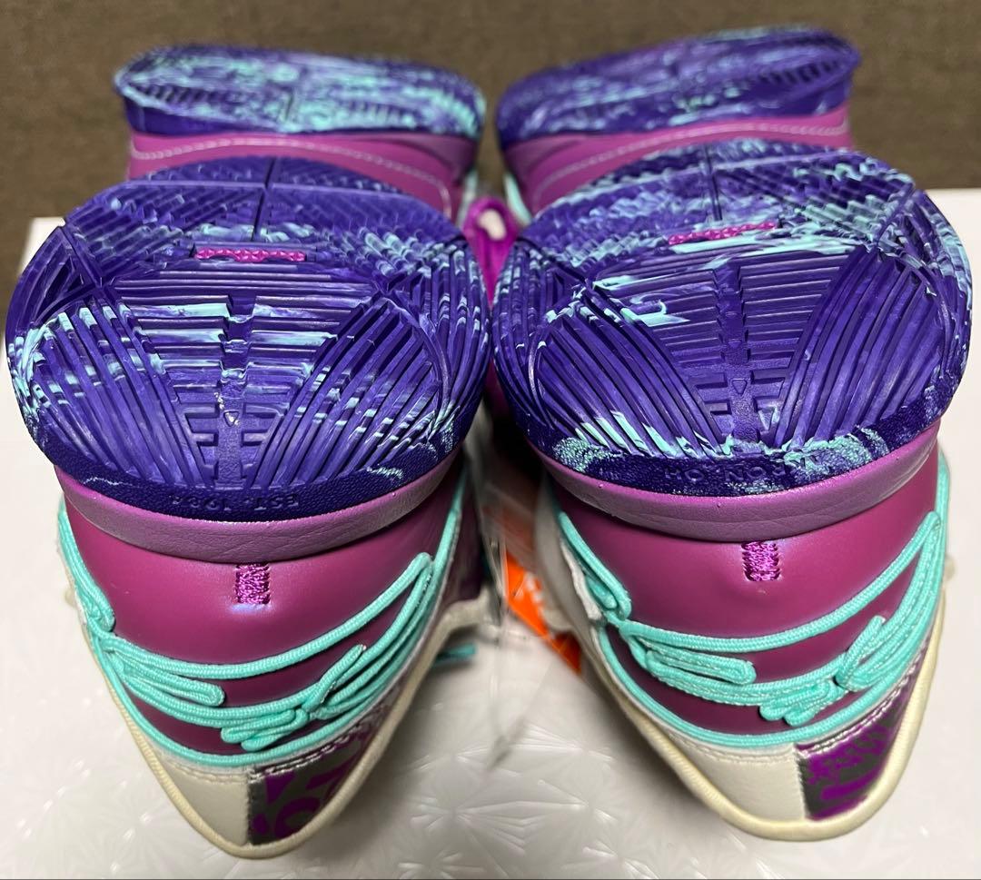 NIKE LEBRON 22EP ナイキ レブロン 30cm 替え紐 箱付き