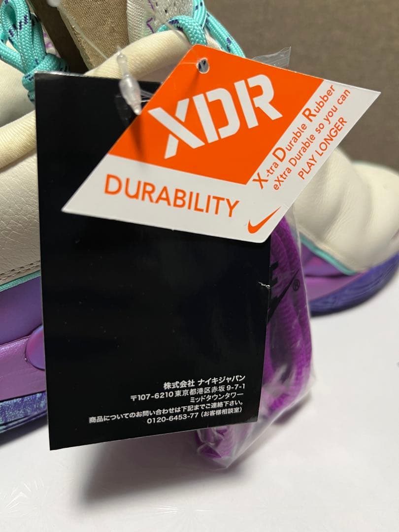 NIKE LEBRON 22EP ナイキ レブロン 30cm 替え紐 箱付き