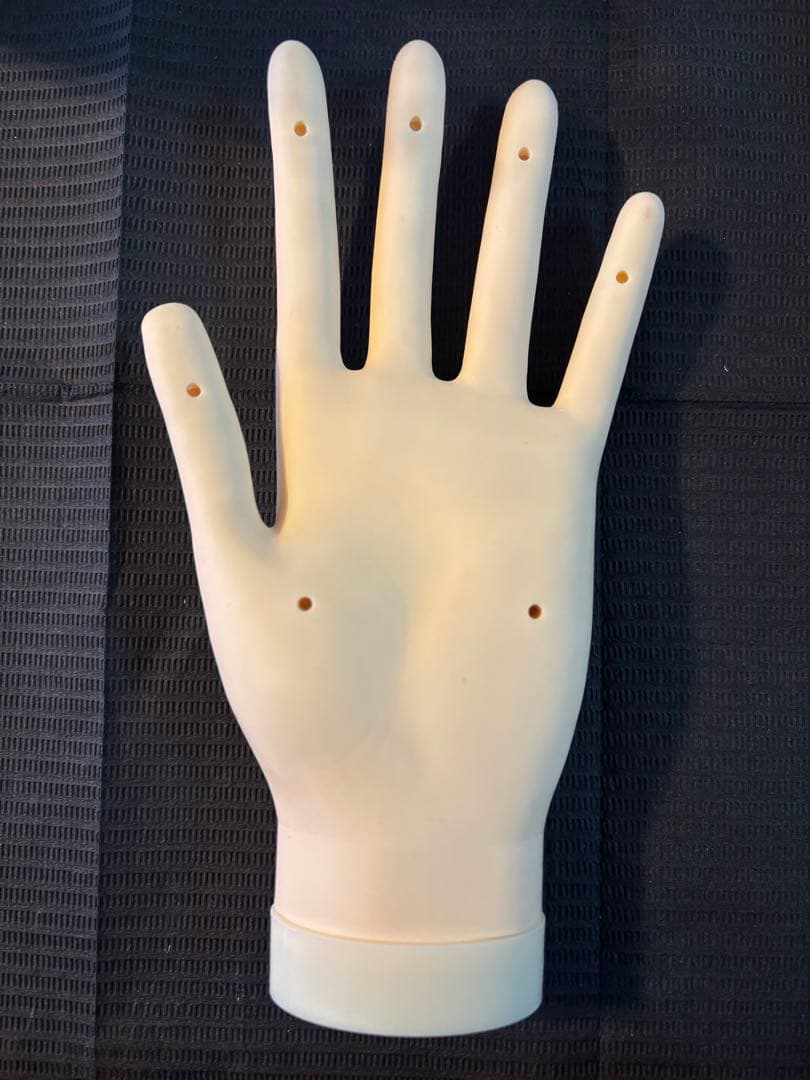 【骨折なし・箱無し】JNEC認定モデルハンド