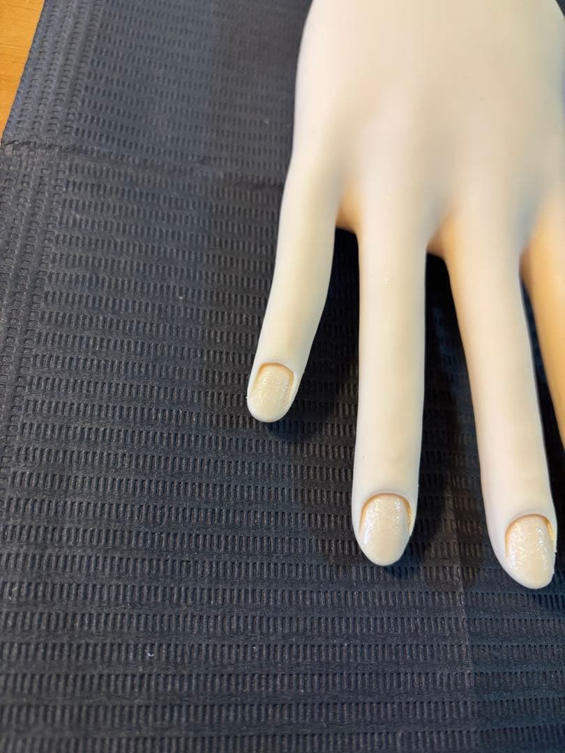 【骨折なし・箱無し】JNEC認定モデルハンド