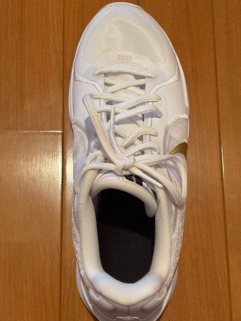 ナイキ サブリナ2 id 27cm