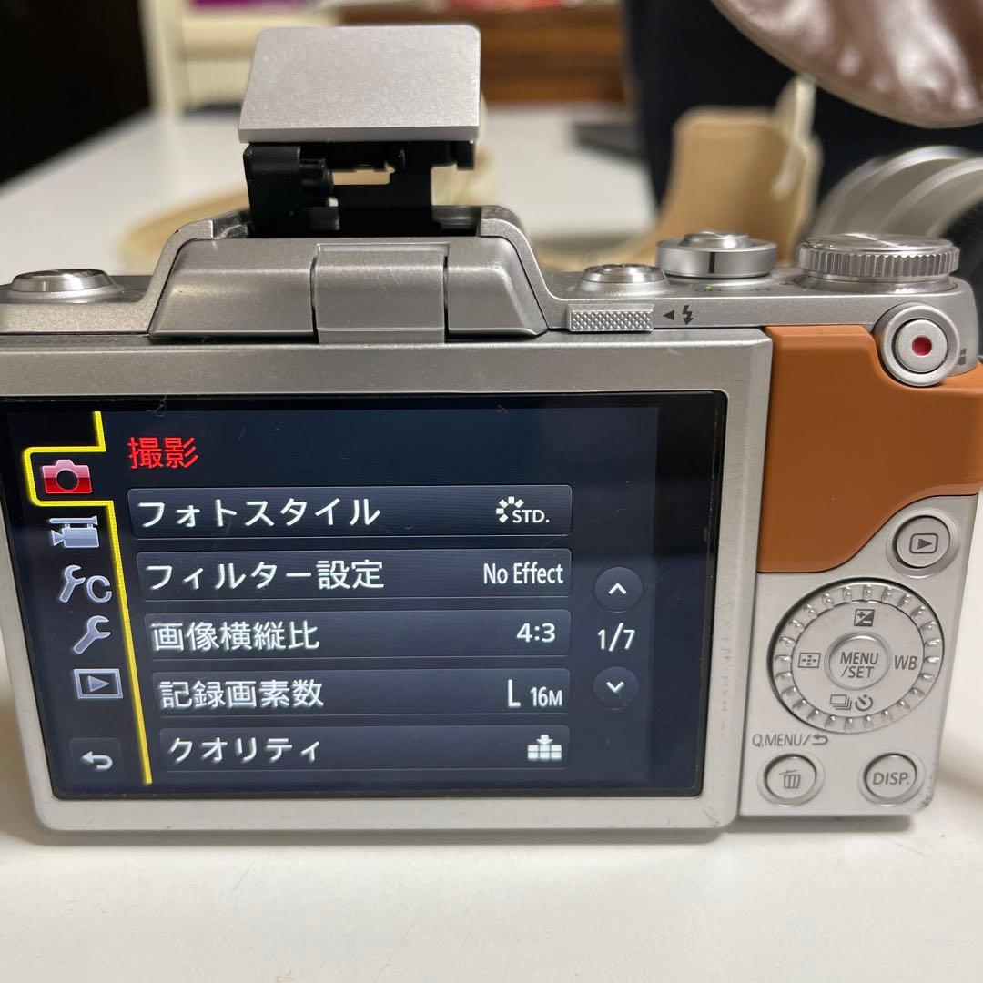 LUMIX G ダブルレンズ　ブラウンDMC-GF7