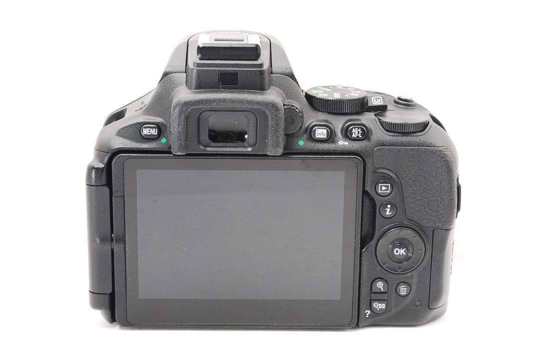 シャッター数2873回 Nikon D5600 ダブルレンズセット