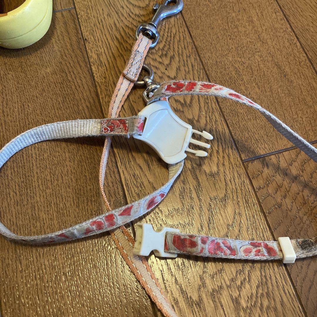思い出のハーネスとリード　ハーネス　リード