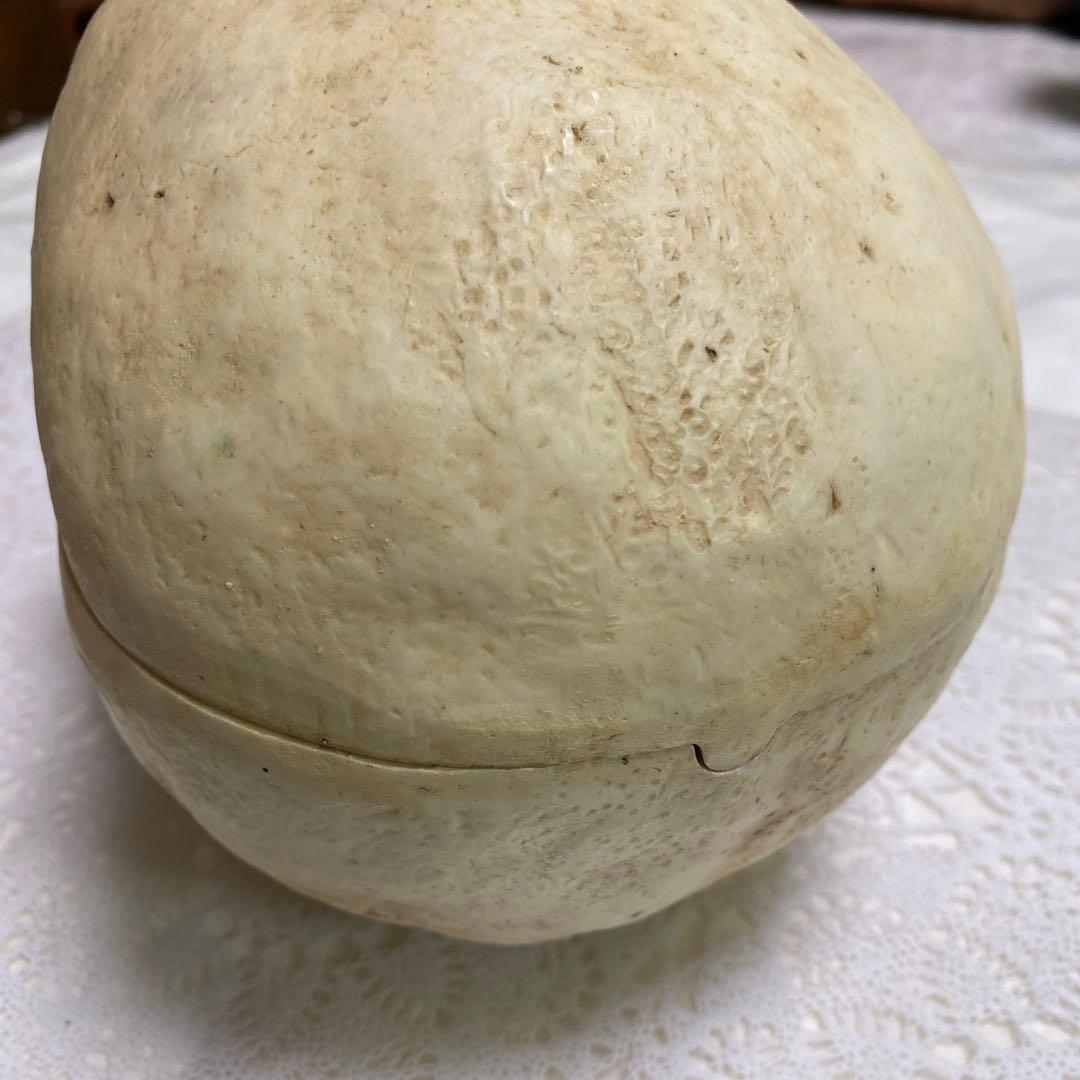 頭蓋骨模型　ガイコツ　置き物　小物入れ