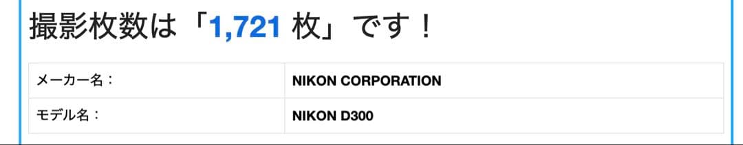 Nikon D300 18-55mmレンズキットバッテリー・充電器・SDカード付