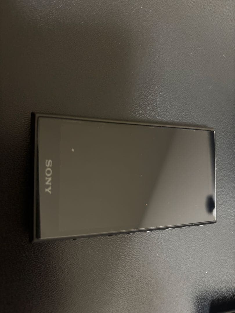 M*P様 SONY ウォークマン NW-A105