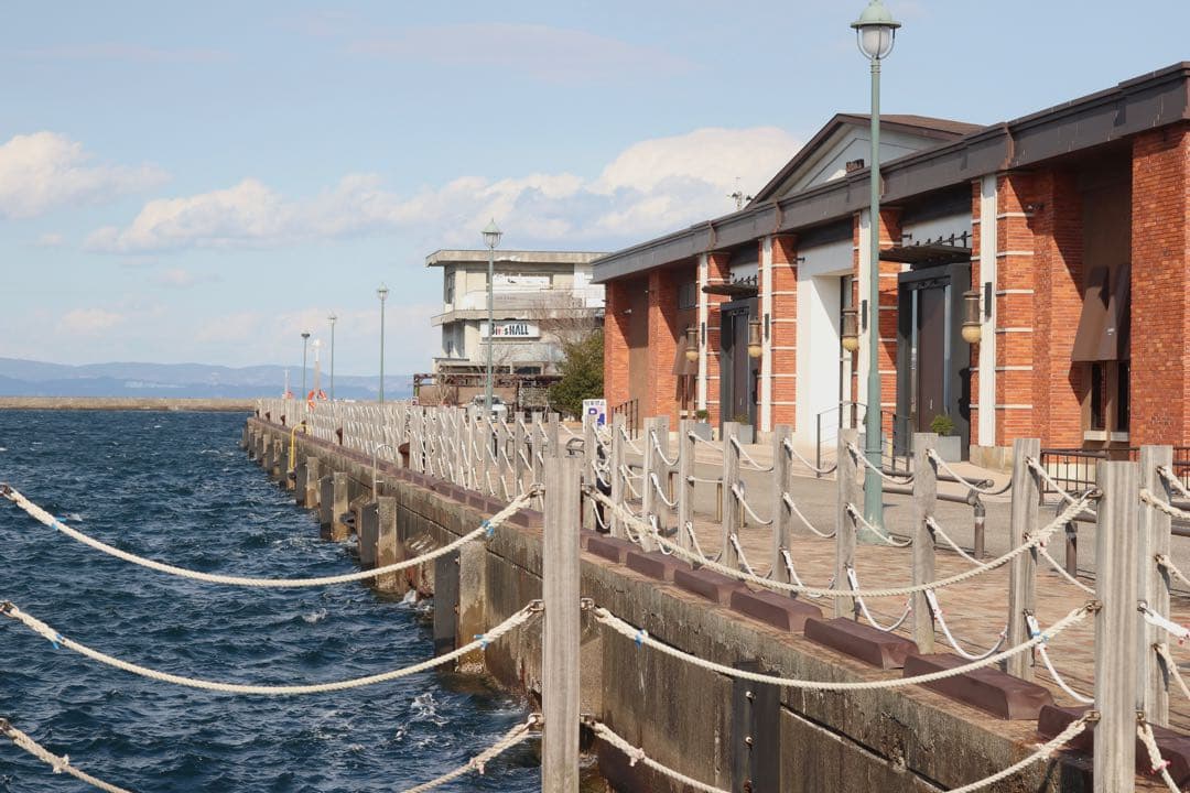 ★OLYMPUS OM-1 + ★ MACRO 50mm