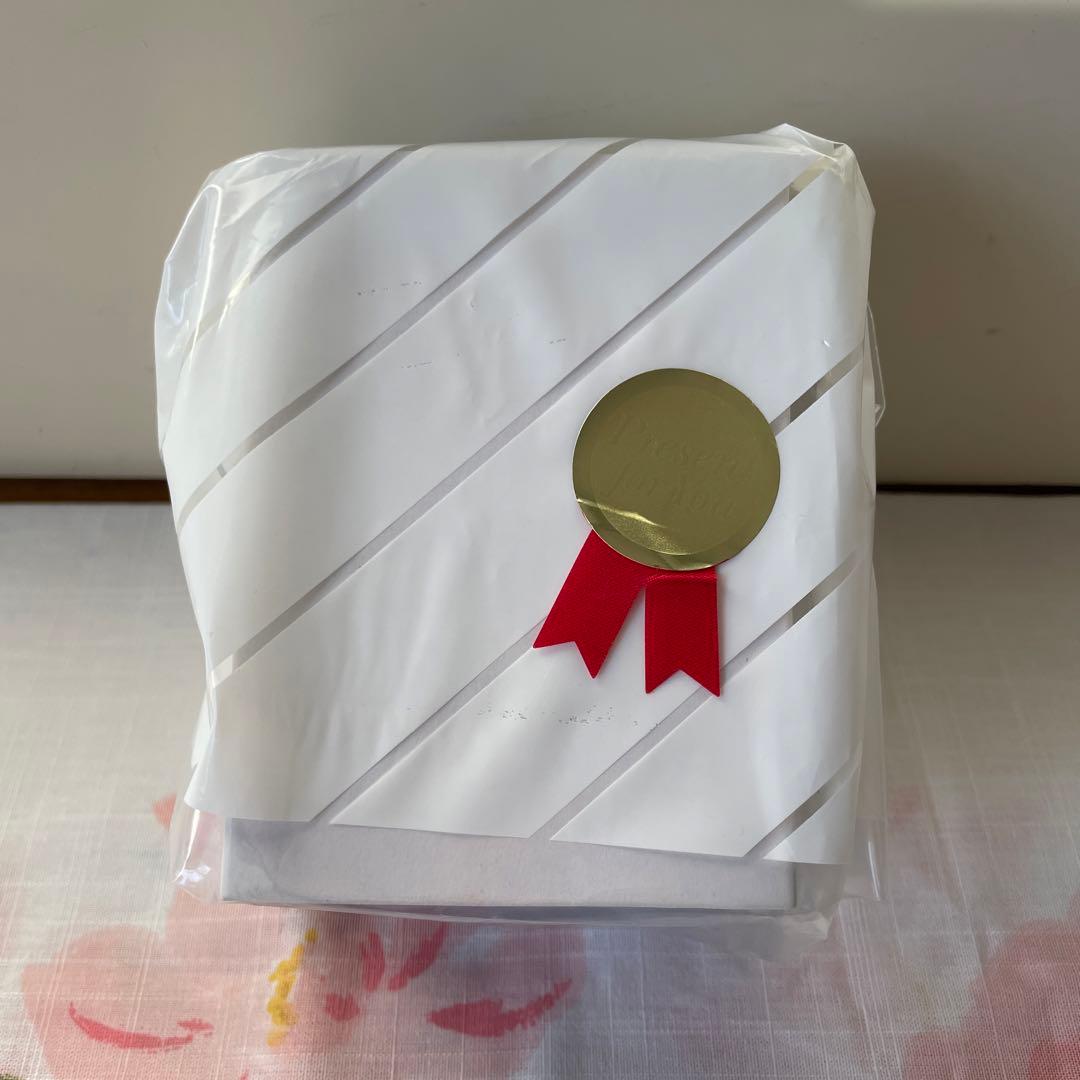 新品未使用全日空ANA×ガンダム時計クロ ノグラフウォッチSKY PROJECT