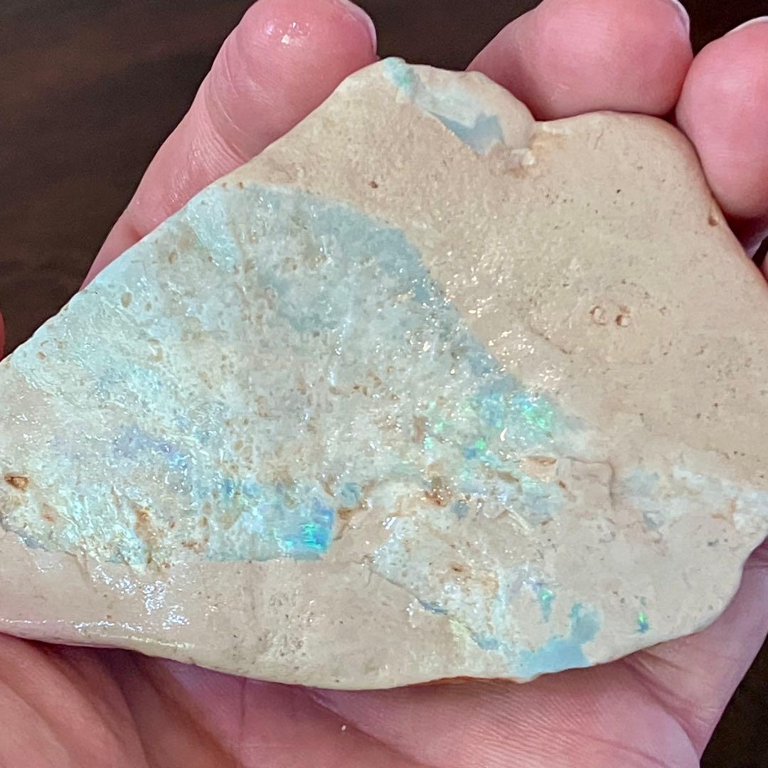 プレシオサウルスのヒレ骨 オパール 化石 標本 オーストラリア クーバーペディ産