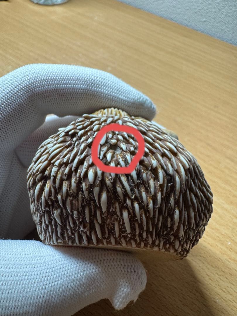 ハーモニー キングダム サニーサイドアップ Harmony Kingdom