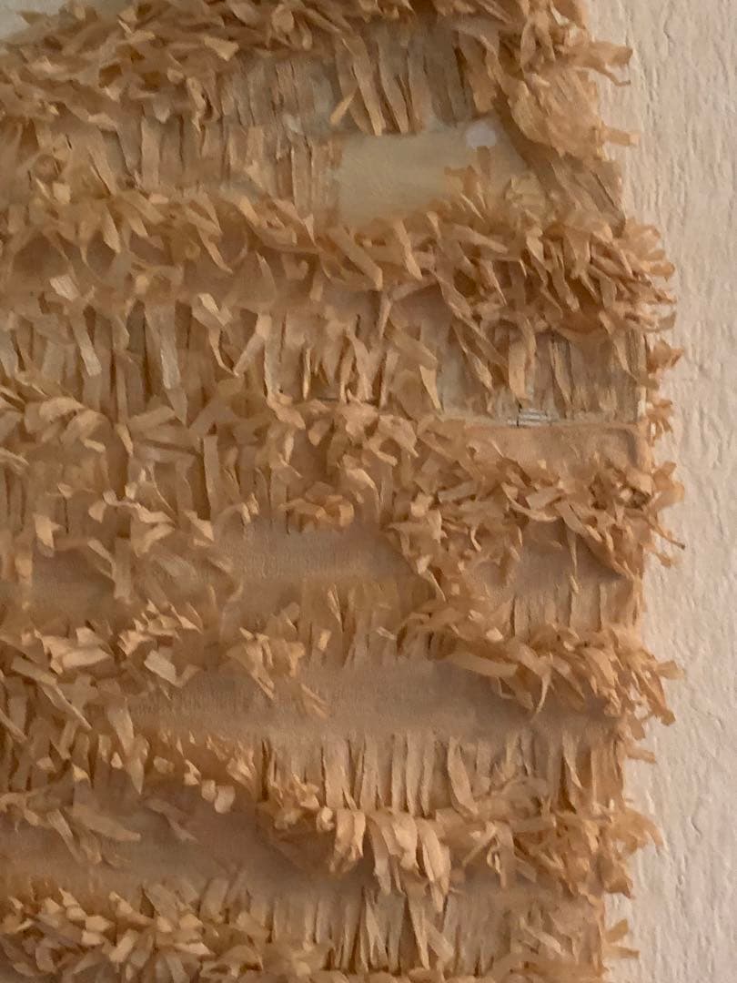 フランスアンティーク パピエの羽 オブジェ ブロカント