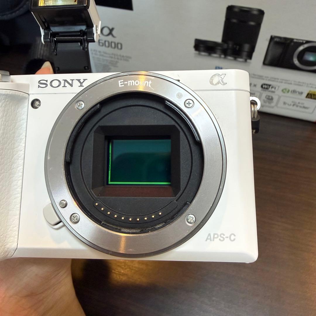 SONY α6000 ミラーレス一眼