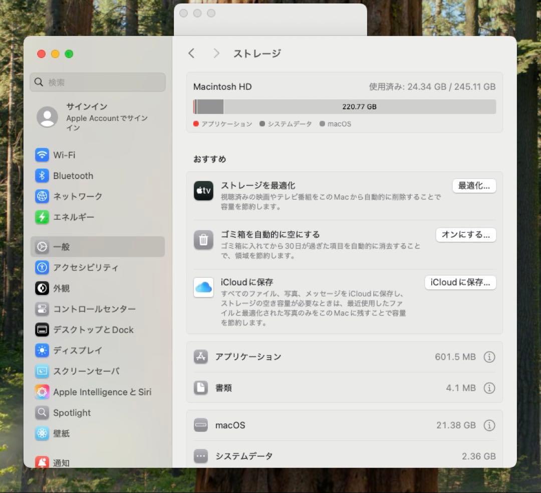 Mac mini 2020 メモリ16GB ストレージ256GB M1チップ