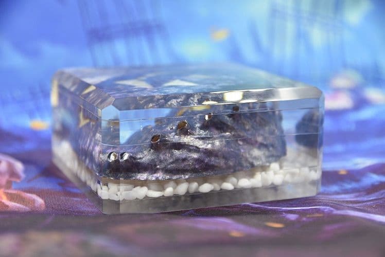 ハロウィン Jack-o'-lantern Abalone DA-11PL