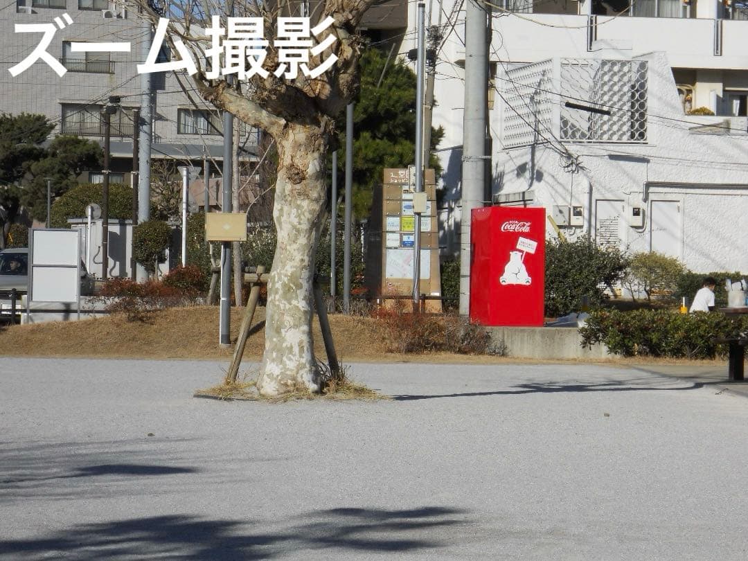 実写美⭕️良品【動作確認済】Nikon COOLPIX S570 ピンク