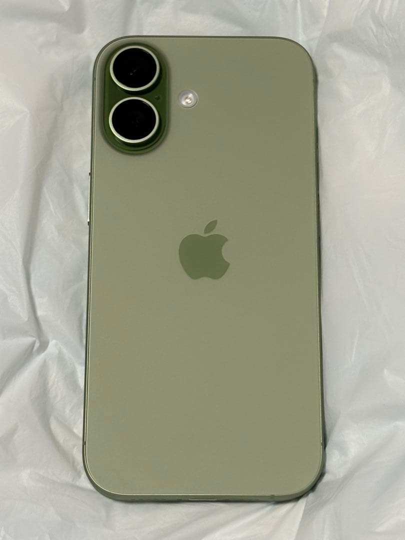 Apple iPhone17 セージ　256GB SIMフリー