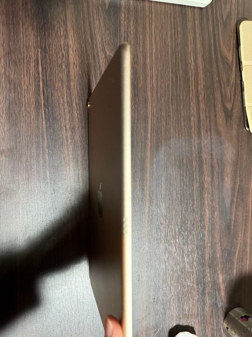 iPad Pro 10.5 Wi-Fi ゴールド256GB 【動作良好美品】