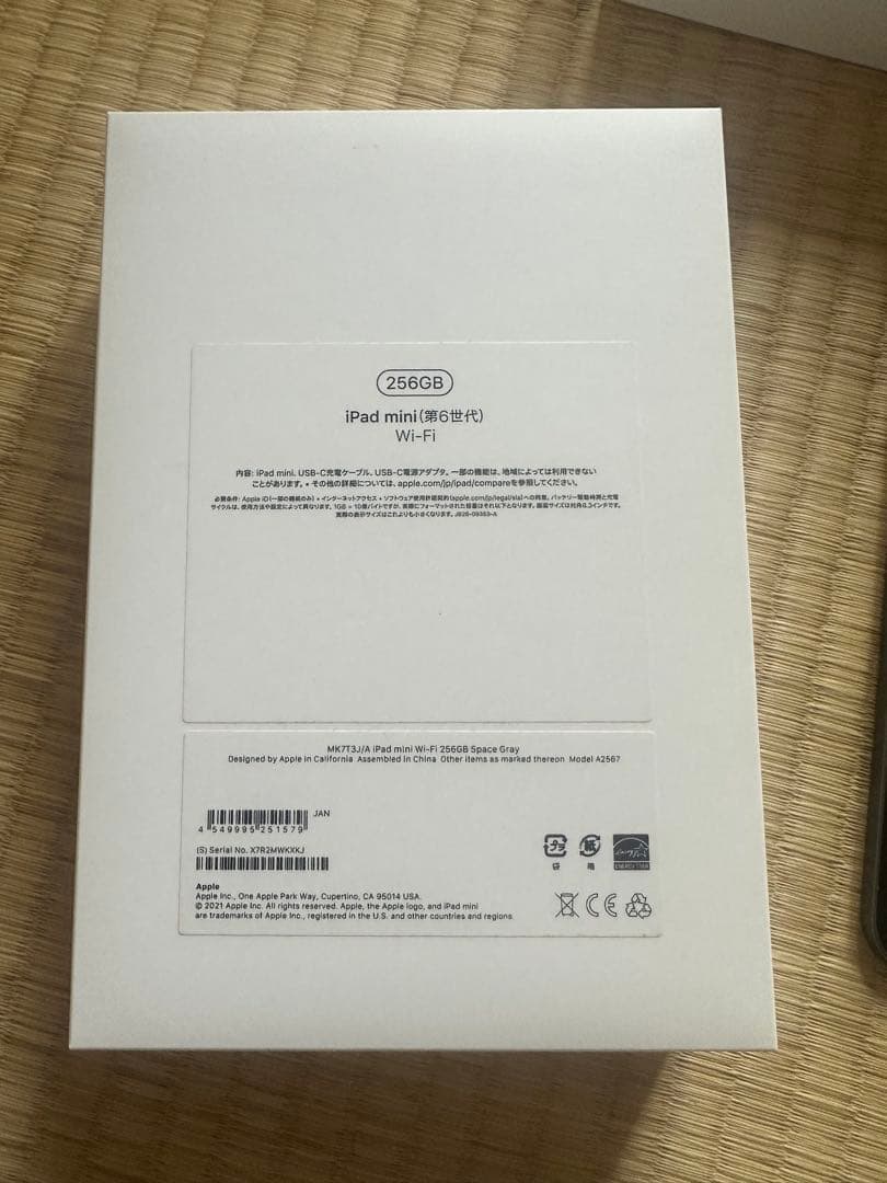 ipad mini 第6世代 256GB ジャンク