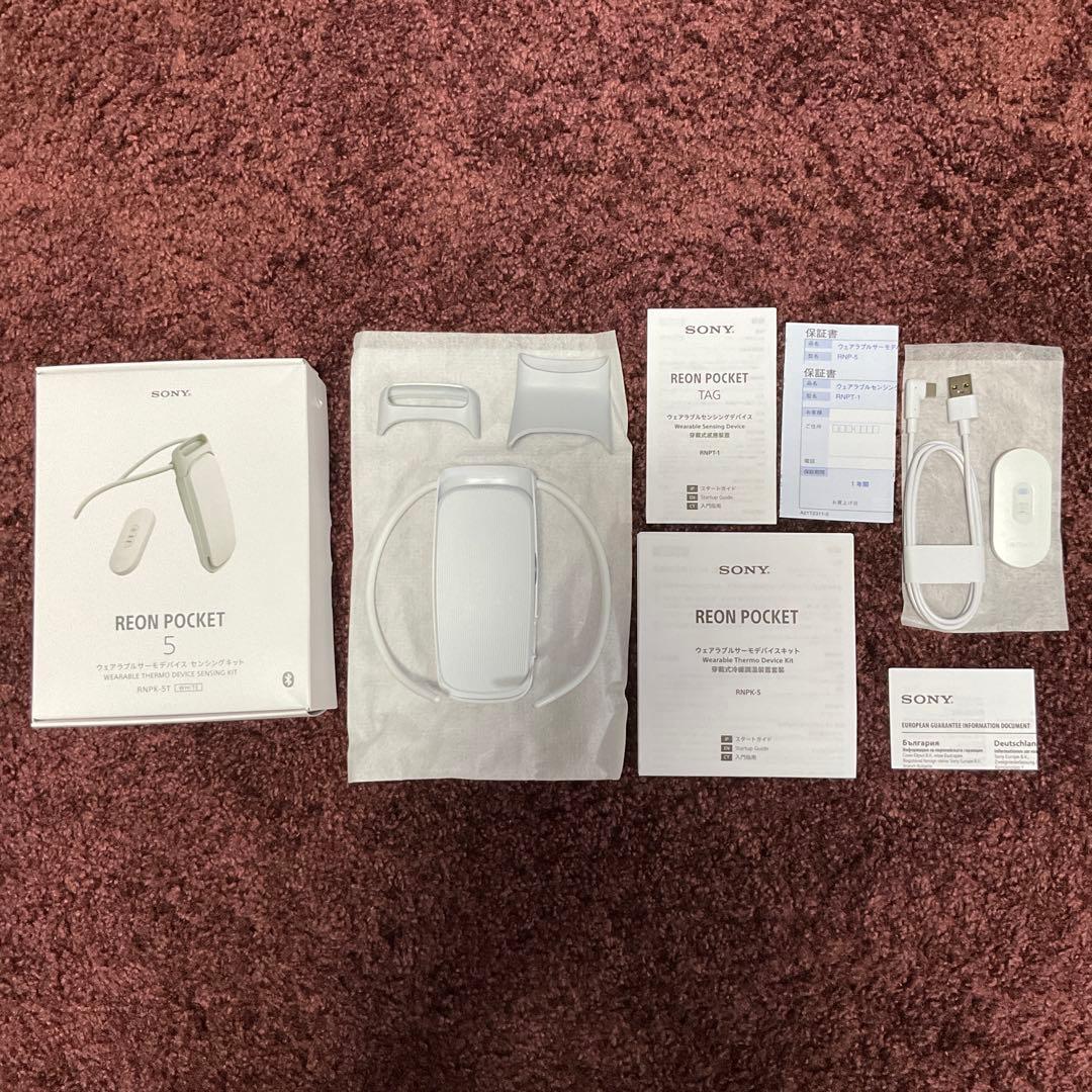 【SONY】REON POCKET5 レオンポケット5