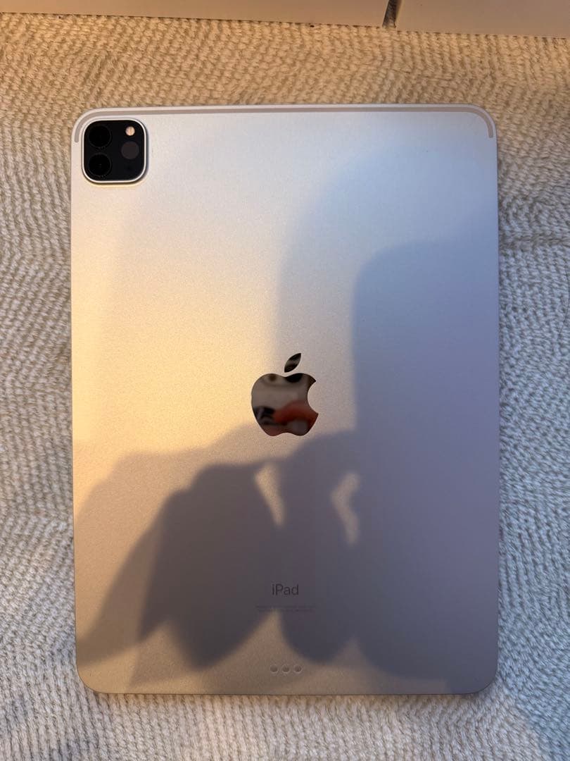 Apple iPad Pro 11インチ (第3世代) シルバー 付属品多数！