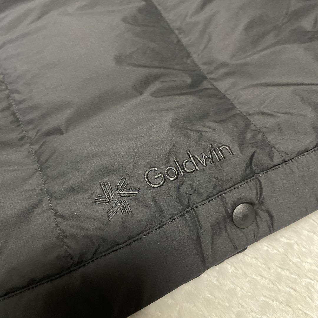 ゴールドウィン サイドオープン 3/5 ダウンパンツ スキーウェア スキーパンツ