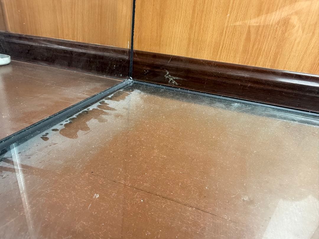 【引き取り限定】エキゾテラ グラステラリウム9060 標準小売価格49,400円