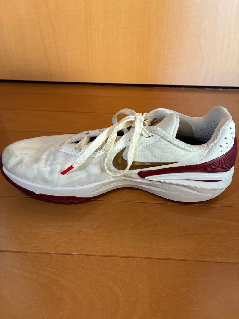 Nike g.t. cut 2 ナイキGTカット2